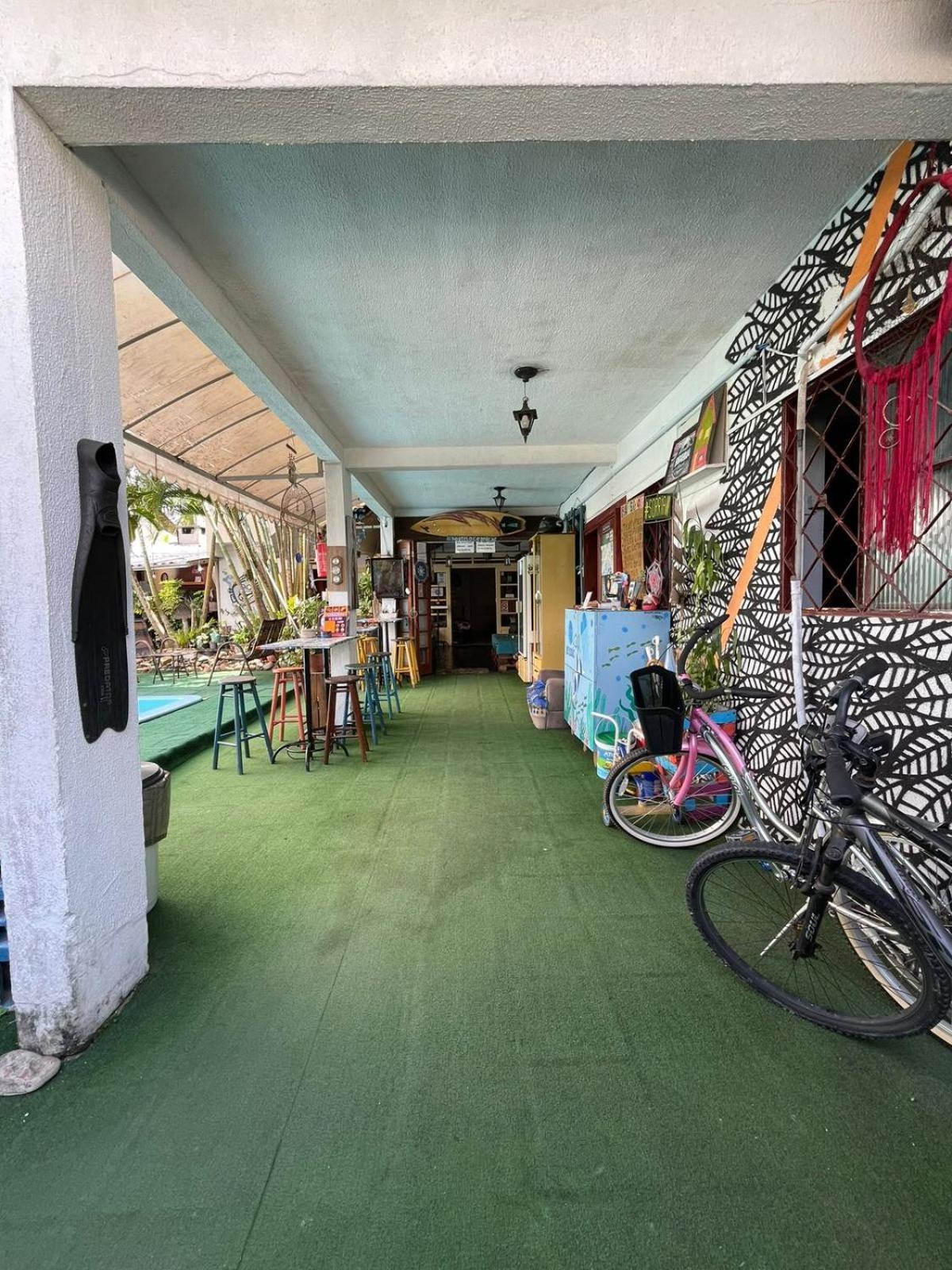 Oceanic Hostel Balneário Camboriú Eksteriør bilde